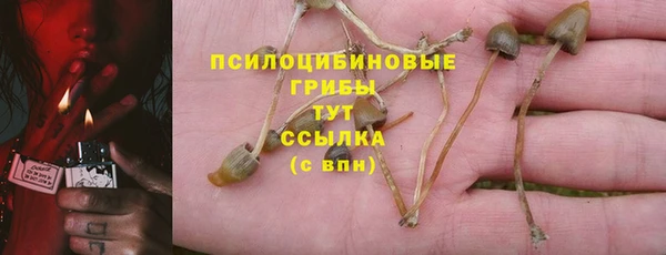 spice Алексин
