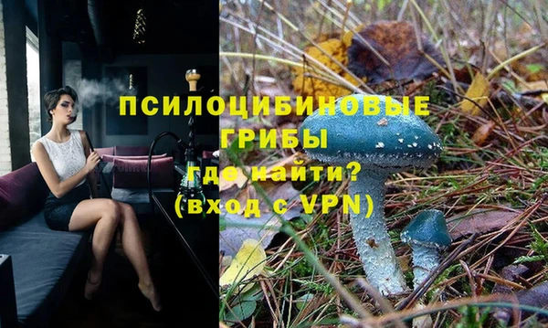 шишки Алексеевка