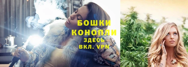 шишки Алексеевка