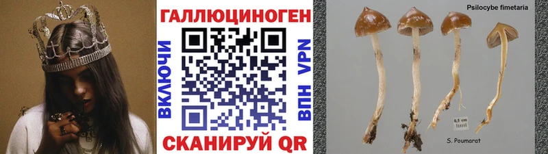Галлюциногенные грибы Cubensis  mega зеркало  Билибино 